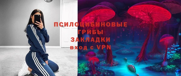 прущие грибы Алексин