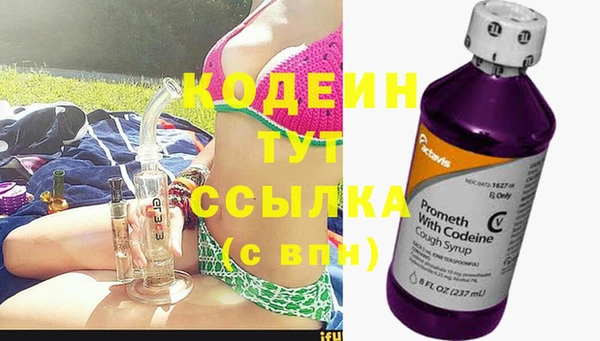 прущие грибы Алексин