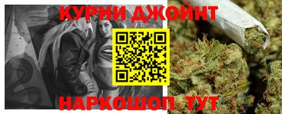 сатива Гай