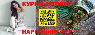 сатива Гай