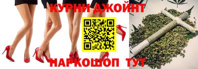 сатива Гай