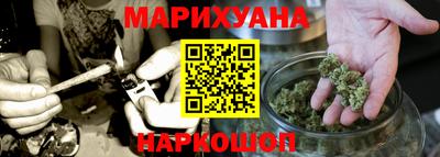 сатива Гай