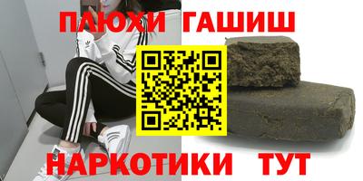 сатива Гай