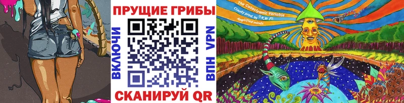 купить наркотик  Нефтекумск  сайты даркнета как зайти  Галлюциногенные грибы мухоморы 