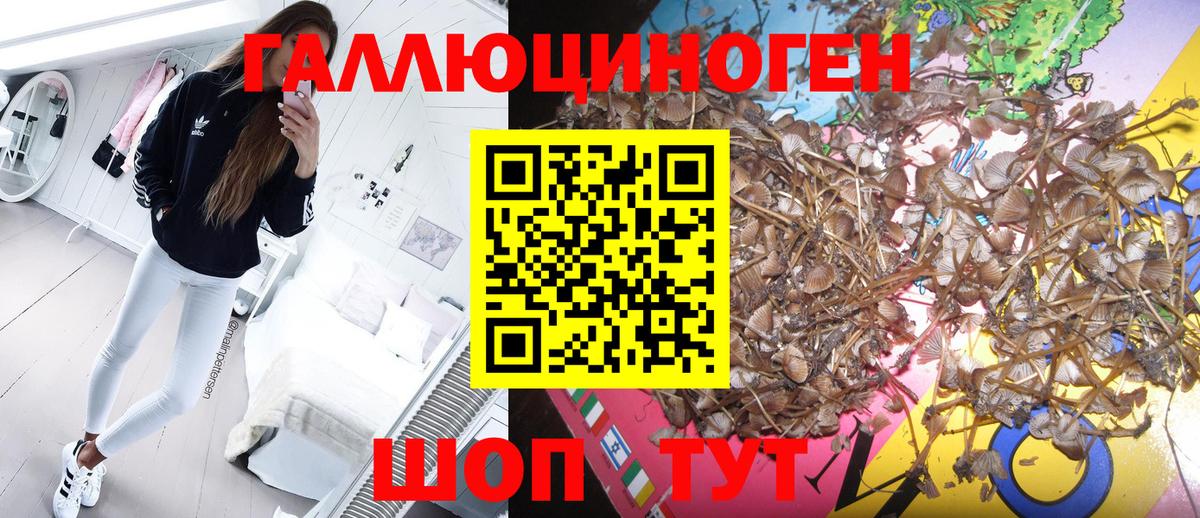 Галлюциногенные грибы ЛСД Нефтекумск